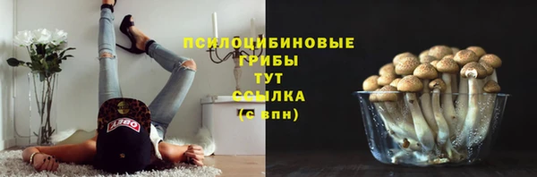 стафф Лагань