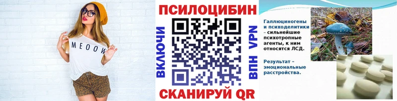 Галлюциногенные грибы Psilocybe  продажа наркотиков  Навашино 